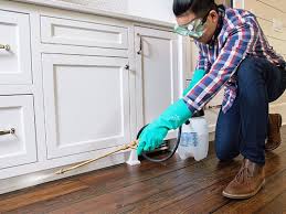 Best Pest Prevention Services  in Ridgway, CO